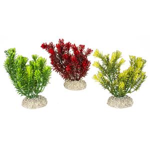 Plant aquarium decoration Aqua Della Canadensis M