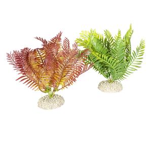 Plant aquarium decoration Aqua Della Bolbitis