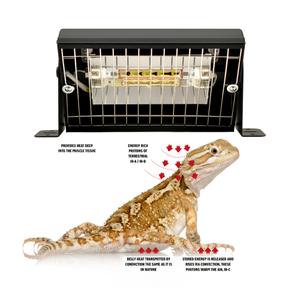 Infrarotlampe Aquarium Systems Eco Gold image-2