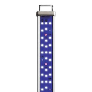 LED bulb Aquarium Systems Proten image-1