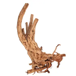 Dekoration Aquarium Rarbaum Aquavie image-1