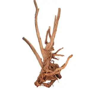 Dekoration Aquarium Rarbaum Aquavie image-2