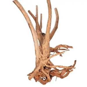Dekoration Aquarium Rarbaum Aquavie image-3