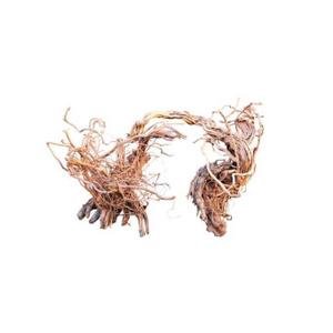 ant111525v1-aquarium-root-decoration-aquavie-curlivigne-extra-v1-beige-one-size