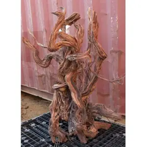 Akvarium dekoration rod Aquavie Curlivigne Extra V3