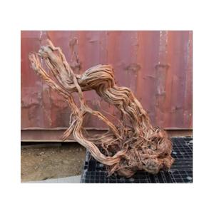 Akvarium dekoration rod Aquavie Curlivigne Extra V3 image-1