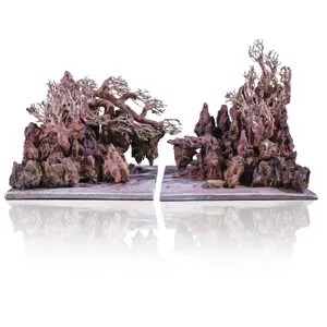 Water landscape Aquavie Aquanatur Canyon Forest