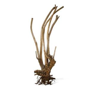 av112003-aquarium-decoration-aquavie-vigne-three-rare-xxl-beige-one-size