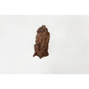 Mangrovewortel aquariumdecoratie Aquavie image-1