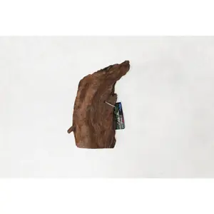 Mangrovewortel aquariumdecoratie Aquavie image-3