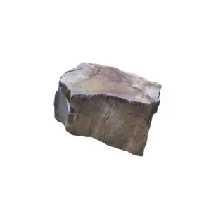 Απολιθωμένο ξύλο S1 Aquavie image-1