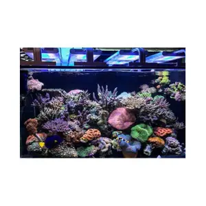 LED bulb Aquavie GrassyCore Sealight image-2