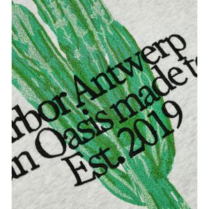 Pullover Arbor Antwerp image-2