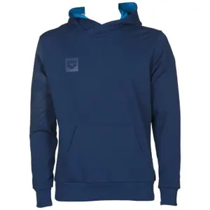 Hooded sweatshirt Arena Essential image-0