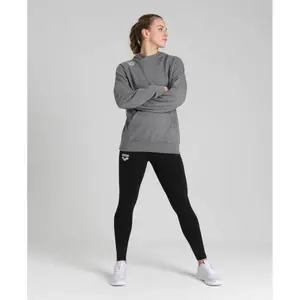 Hooded sweatshirt Arena TE image-0
