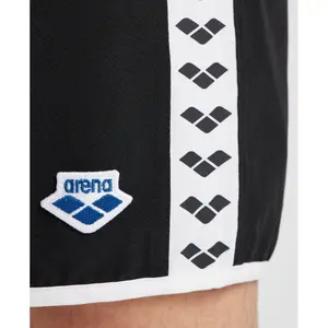 Bañador Arena Icons Team Stripe image-3