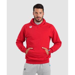 Sweatshirt med hætte Arena Team Panel image-1