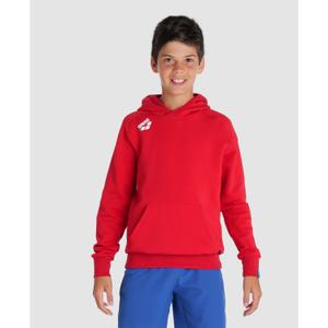 Junior Hoodie Arena Team Panel image-1