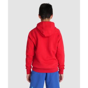 Junior Hoodie Arena Team Panel image-3