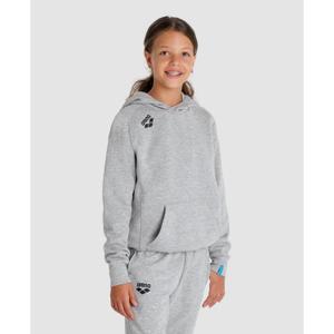 Junior Hoodie Arena Team Panel image-2