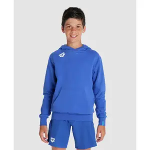 Junior Hoodie Arena Team Panel image-1