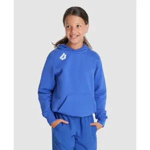 Junior Hoodie Arena Team Panel image-2