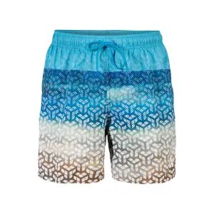 Swimming boxer shorts Arena