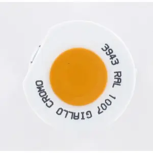 Σπρέι βαφής μοτοσικλέτας Arexons 1007 image-1