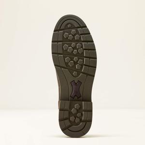 Ridstövlar Ariat Wexford Bison Chelsea image-4