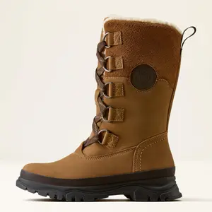 Women's winter boots Ariat Wetherby image-1