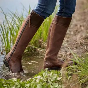 Women's Boots Ariat Windsor image-1