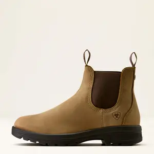 Women's boots Ariat Cooper Chelsea image-1