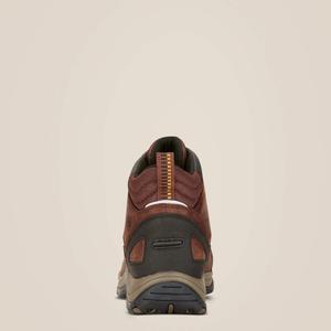 product/a/r/ariat_10017308_3.jpg