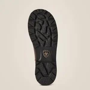 Women's riding boots Ariat Fatbaby Western image-4