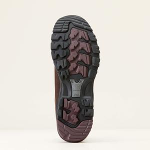 Stivali da equitazione Ariat Skyline Mid H2O image-3