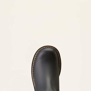Damen Stiefeletten Ariat Fatbaby Twin Gore image-4