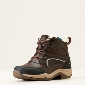 Reitstiefel Damen Ariat Telluride H2O image-1