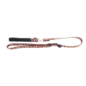 Laisse-collier pour chien nylon Arka Haok image-0