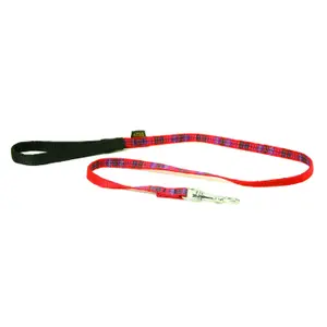 Trela tradicional para cão Arka Haok Kilt image-0
