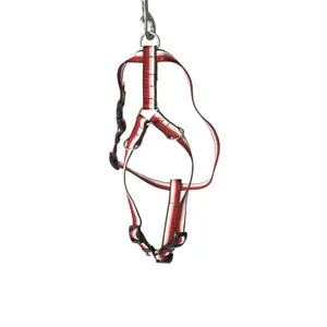 Standard Dog Harness Arka Haok image-0