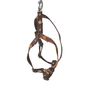 Dog harness Arka Haok image-0