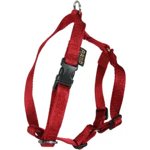 Dog harness Arka Haok image-0
