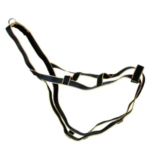Dog Sled Harness Arka Haok image-0