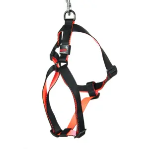 Dog harness Arka Haok image-0
