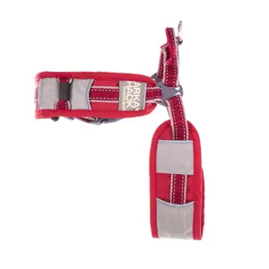 Dog harness Arka Haok Sport Norvegien image-0
