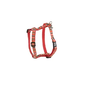 Dog harness Arka Haok image-0