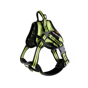 3008494-hundsele-arka-haok-arka-gul-s