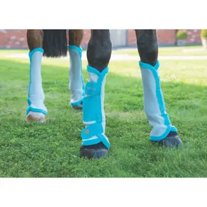 Horse boots ARMA Fly image-0