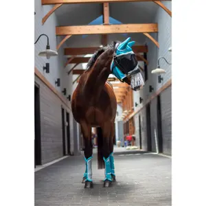 Horse boots ARMA Fly image-1