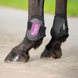 Beenbeschermers voor paarden ARMA Fetlock image-1